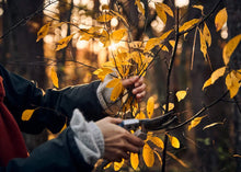 画像をギャラリービューアに読み込む, クロモジ ハーブティー ・チャイetc 4種 / noi